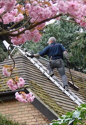 Our staff cleaning the moss from a roof in Swaythling near Southampton